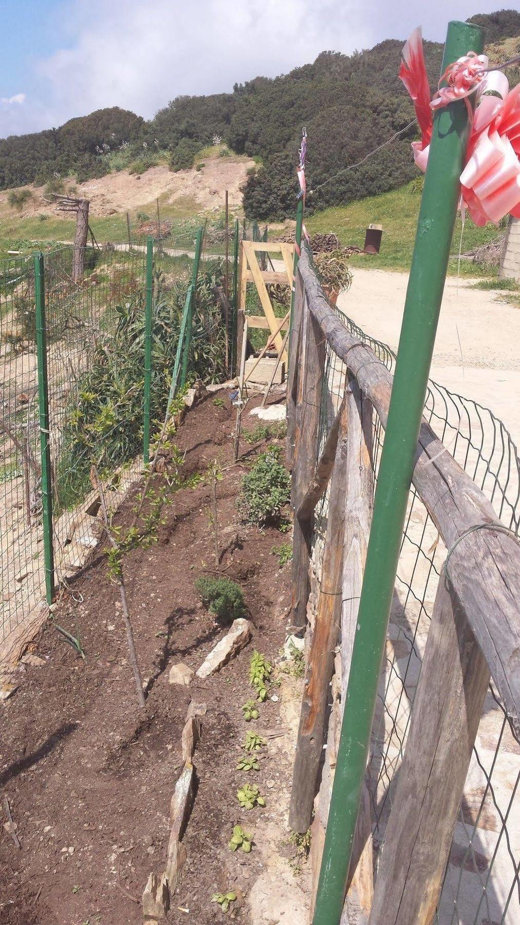 L'Aquila Villa Arbus Buitenkant foto